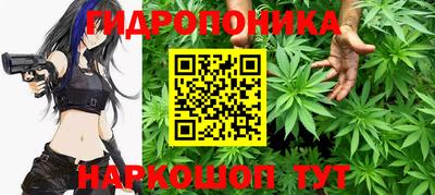 ECSTASY Можга
