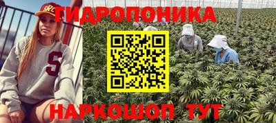 прущие грибы Можайск