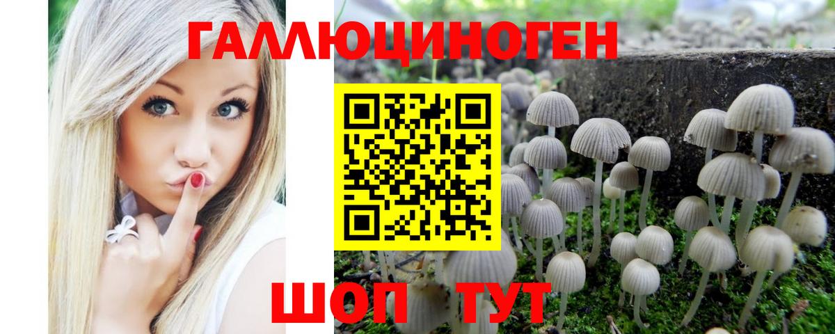 Галлюциногенные грибы прущие грибы  Вход с VPN  Великий Устюг 