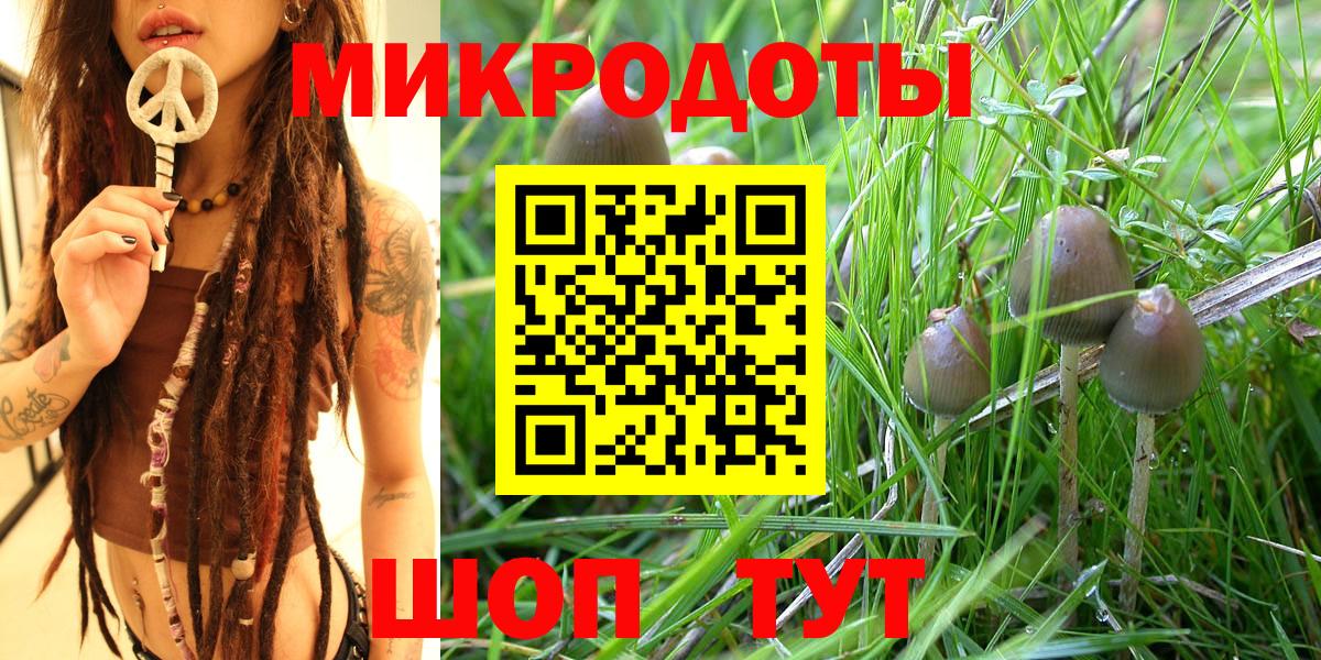 Псилоцибиновые грибы GOLDEN TEACHER Великий Устюг